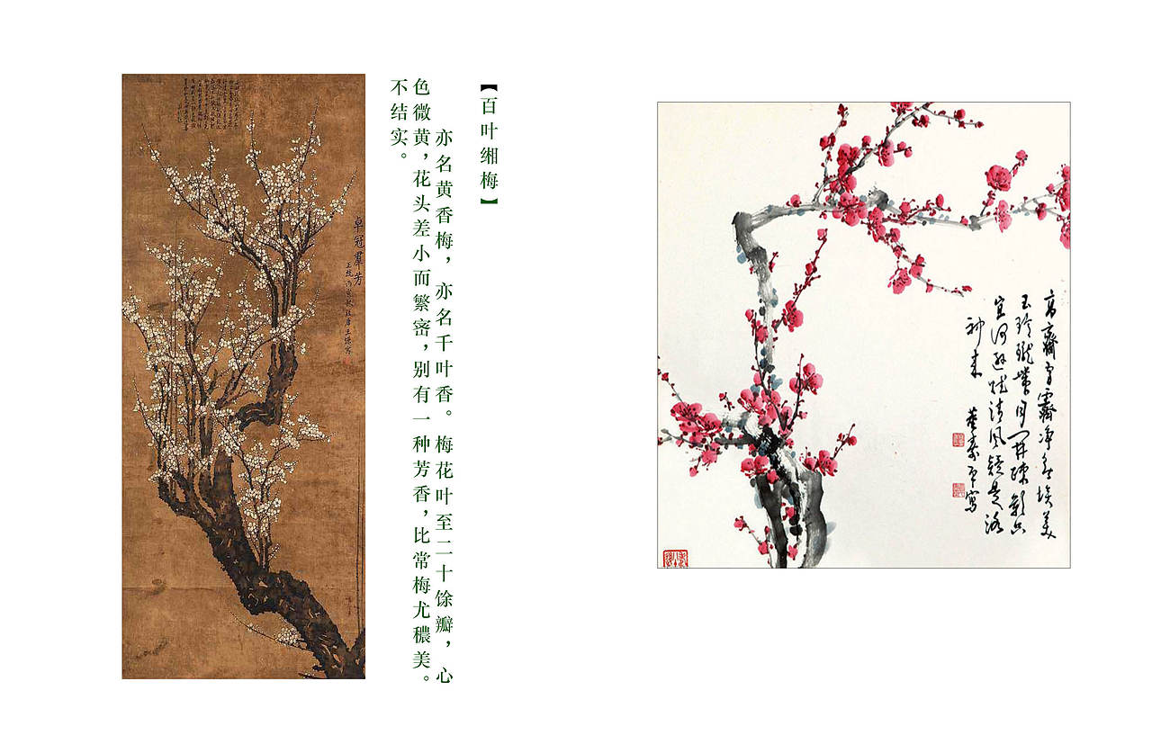 梅兰竹菊图谱书籍排版