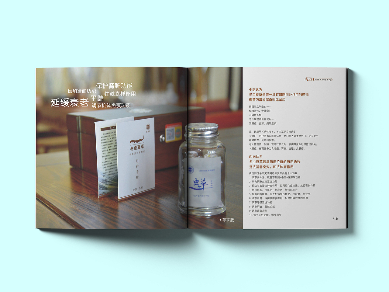 《冬虫夏草》画册（图ZMTc2ODQ3MTQ0） - 书籍/画册 - 站酷设计师小白兔糖原创素材 - 站酷ZCOOL