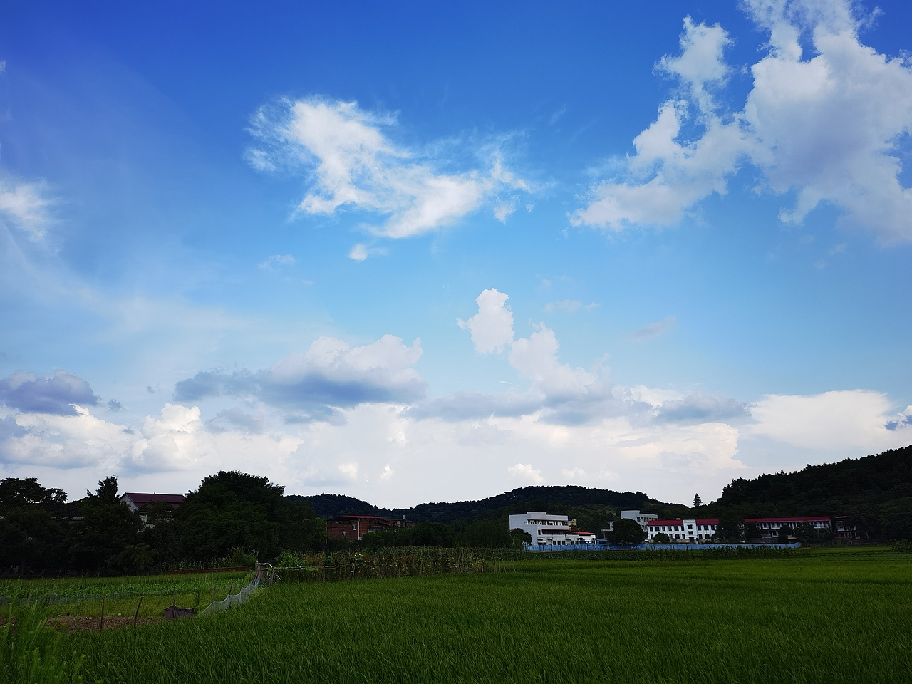 《向往的生活》