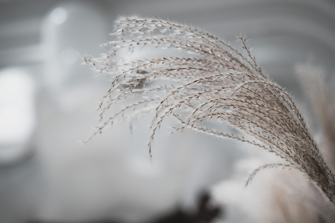 立冬 | 好日常在（图ZMjMxMTg1MDE2） - 人文/纪实摄影 - 站酷设计师RENIKKY原创素材 - 站酷ZCOOL