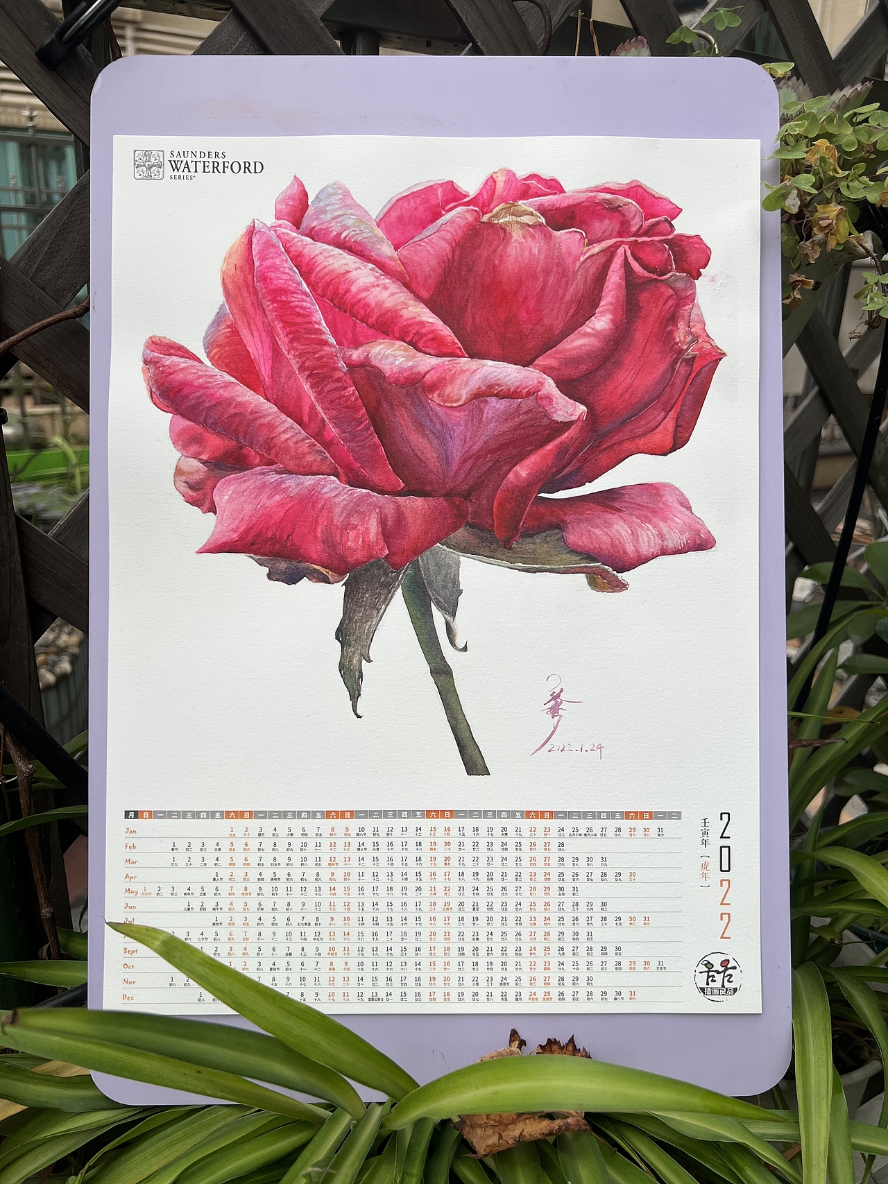 花——写实水彩玫瑰花卉系列