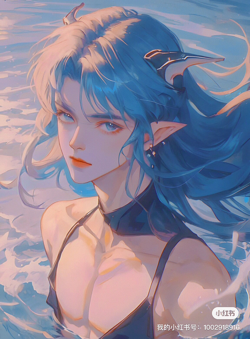 《龙鲛之恋》|寻找篇02