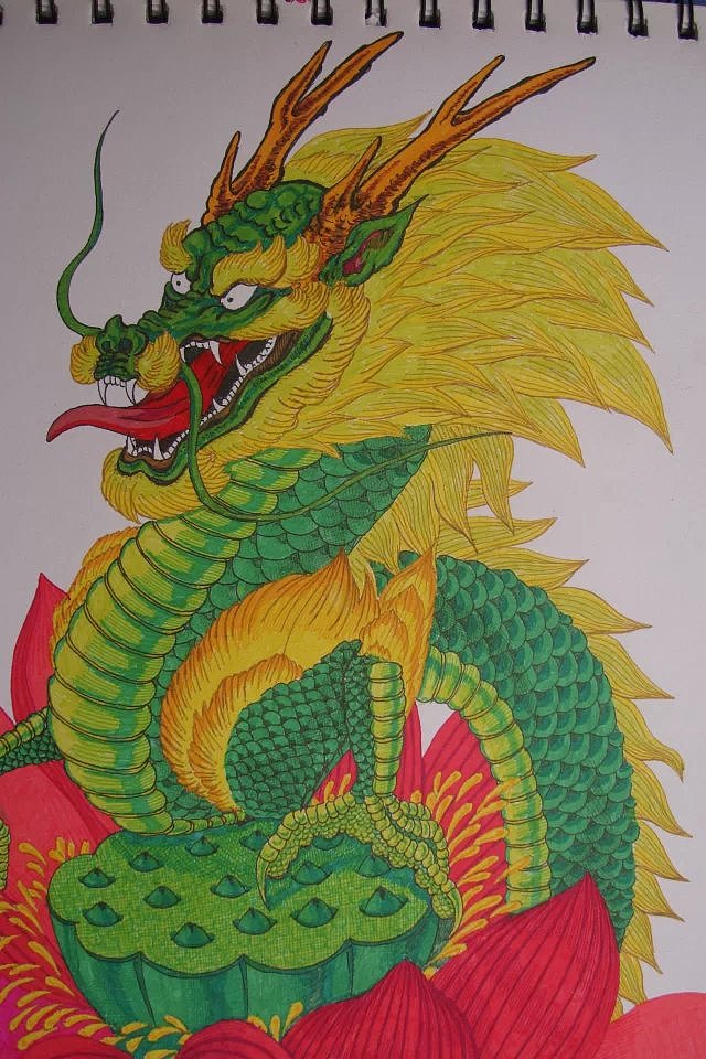 我画的【龙和荷花】