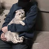 小团团ovo的头像