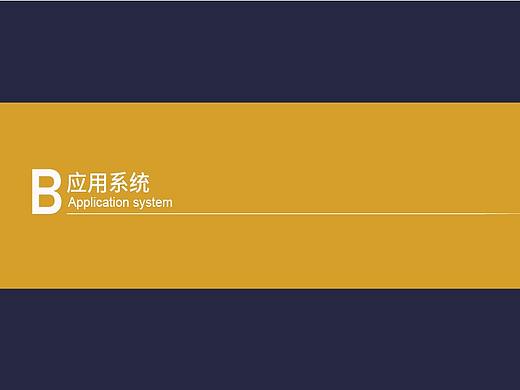 倾城婚纱摄影vi手册-应用部分