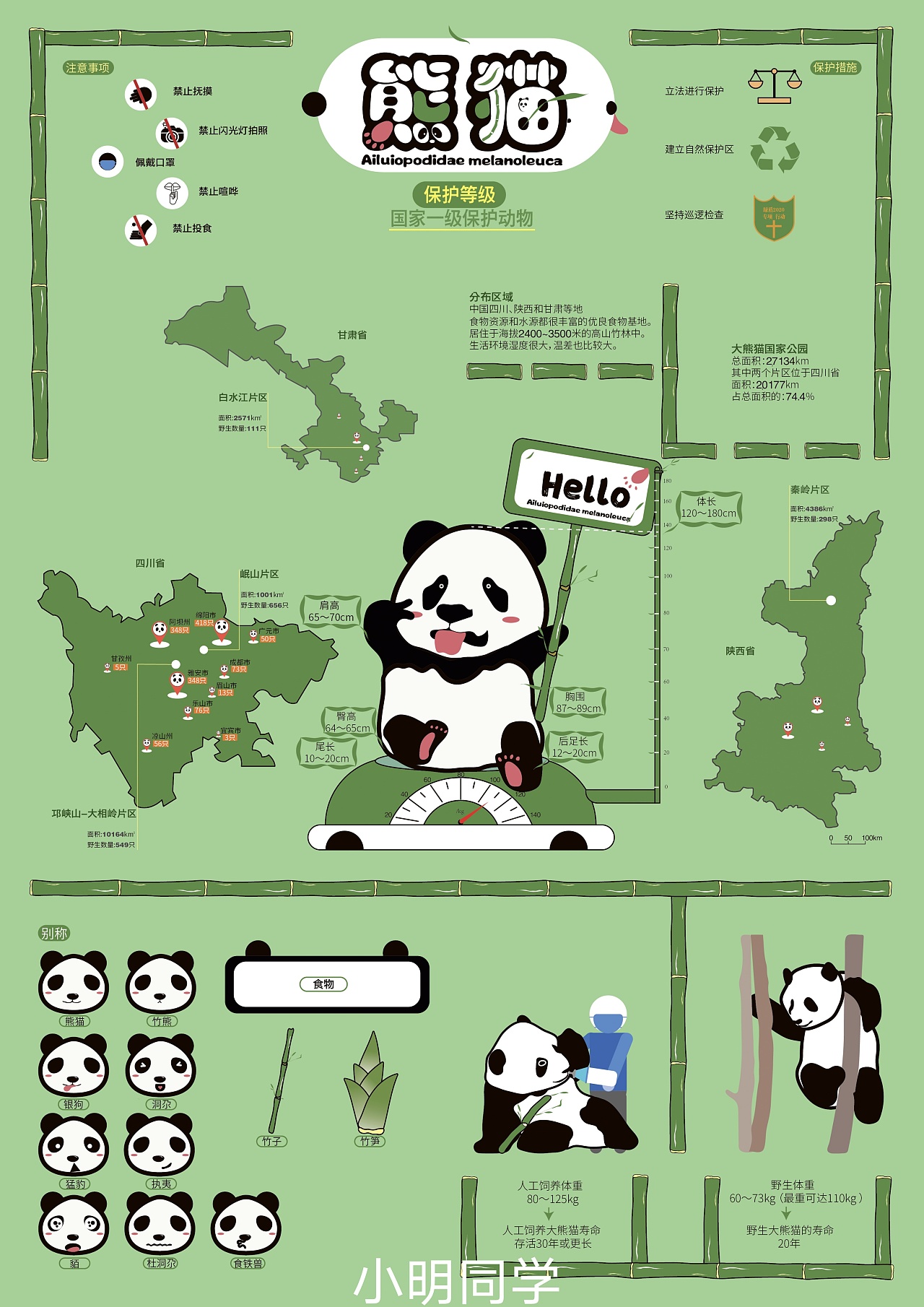 信息可视觉设计,《熊猫》