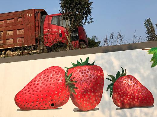 贵阳息烽温泉网红打卡点草莓果园文化手绘墙