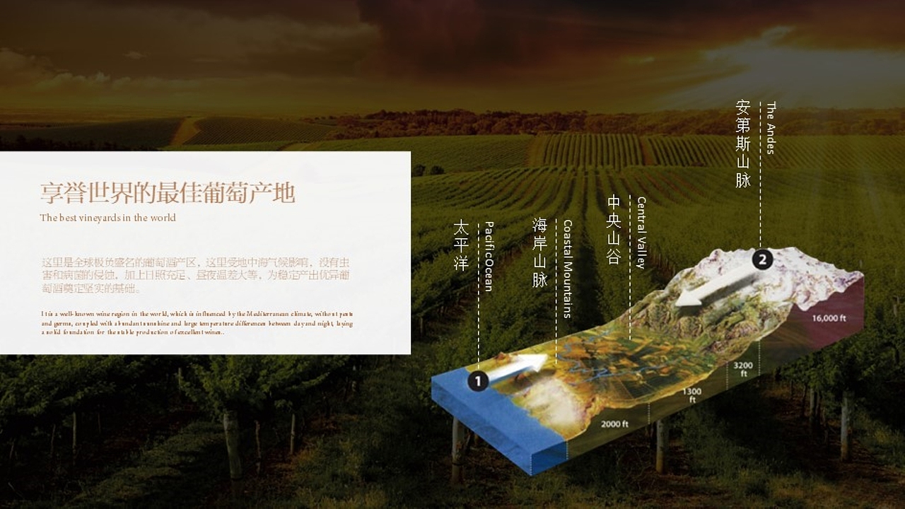 T.D.P丨JADE品牌设计一期(图ZMzUzNzUyOTI0) - 品牌 - 站酷设计师他山做法原创素材 - 站酷ZCOOL