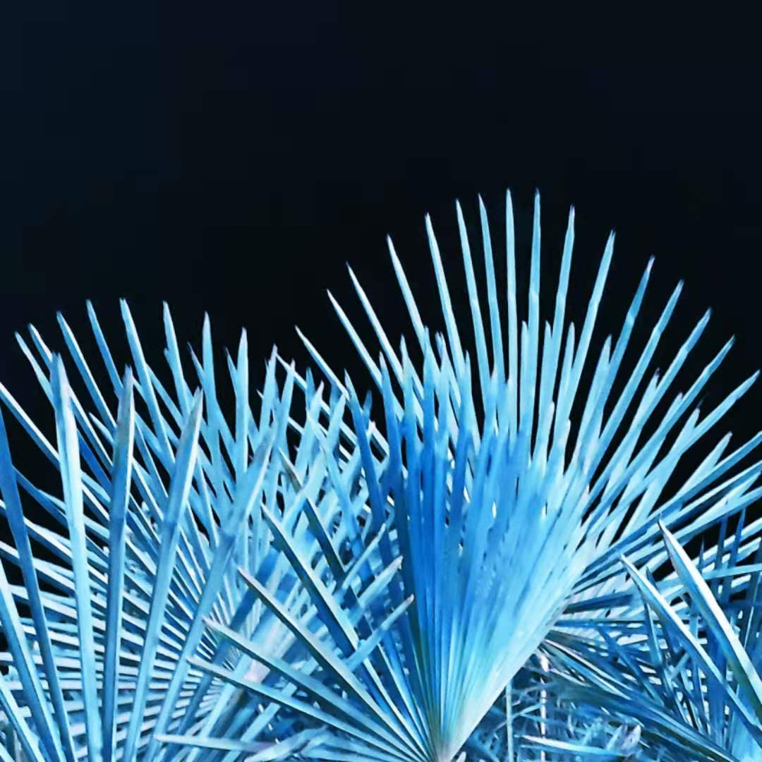 一棵白菜設(shè)計(jì)的個(gè)人主頁（封面預(yù)覽） - 主頁封面設(shè)置 - 站酷設(shè)計(jì)師一棵白菜設(shè)計(jì)原創(chuàng)素材 - 站酷ZCOOL