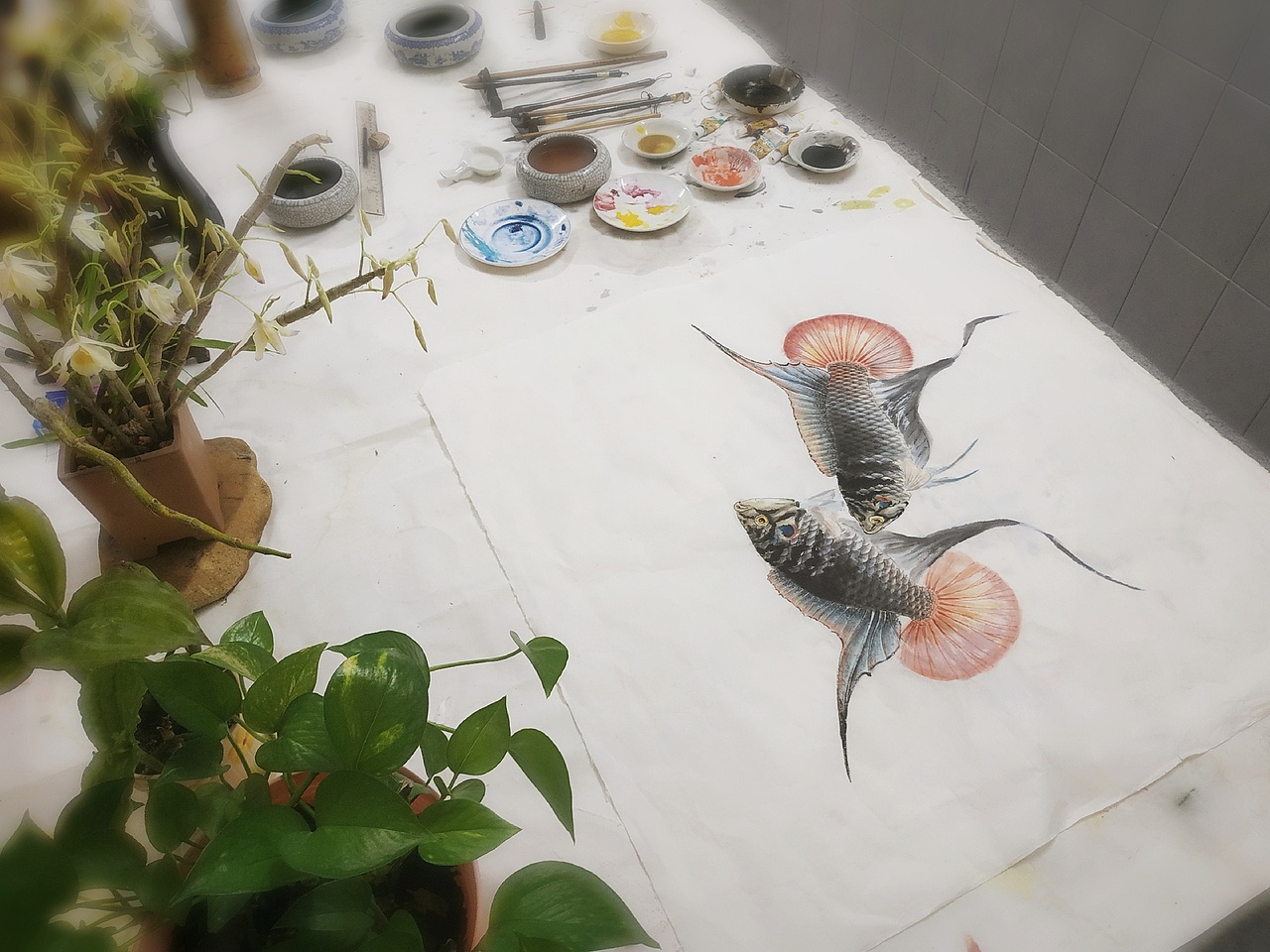 国画斗鱼《圆尾》_李旭东书画-站酷zcool