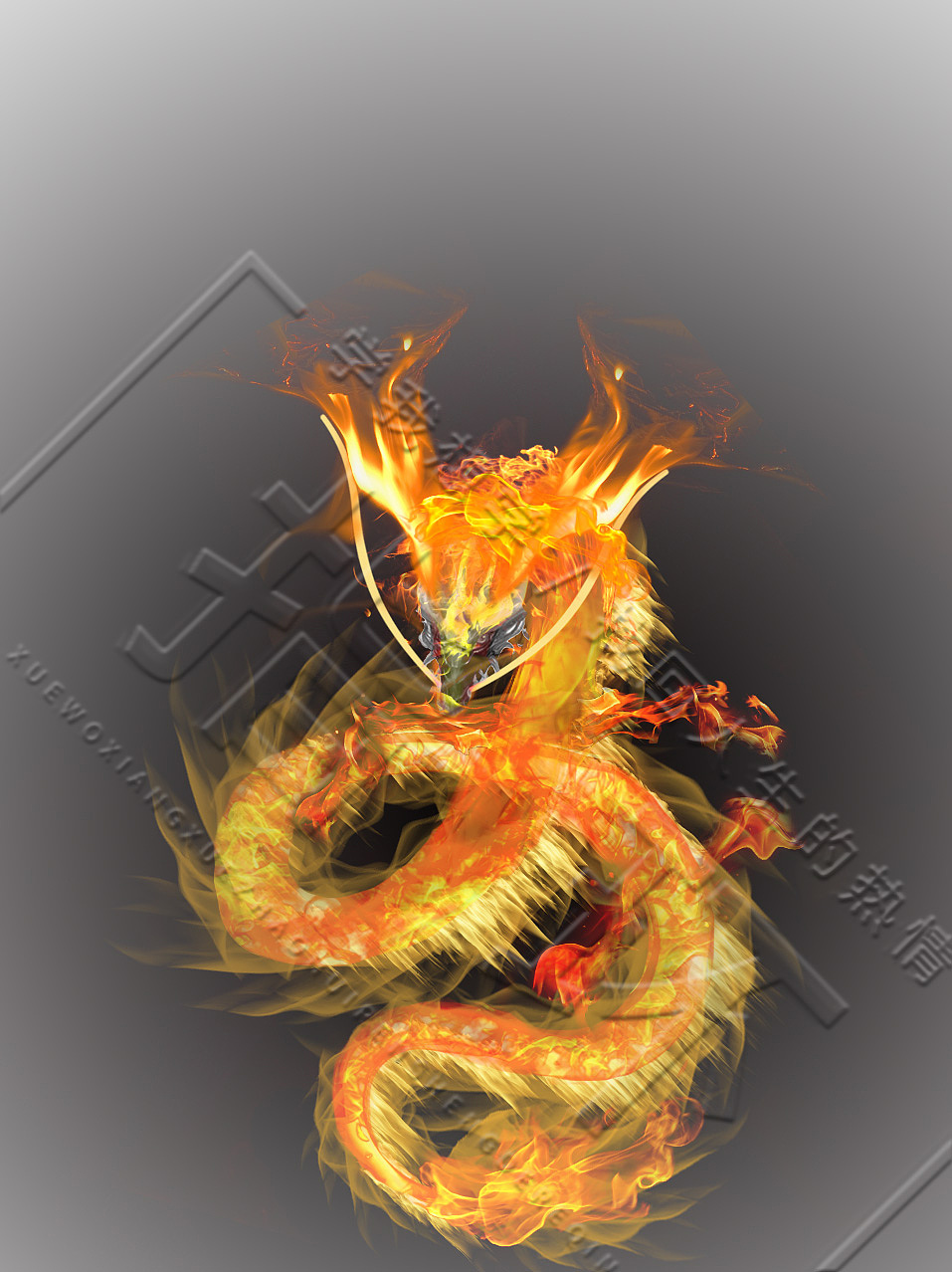 龙|插画|新锐潮流插画|cg指环_原创作品-站酷zcool