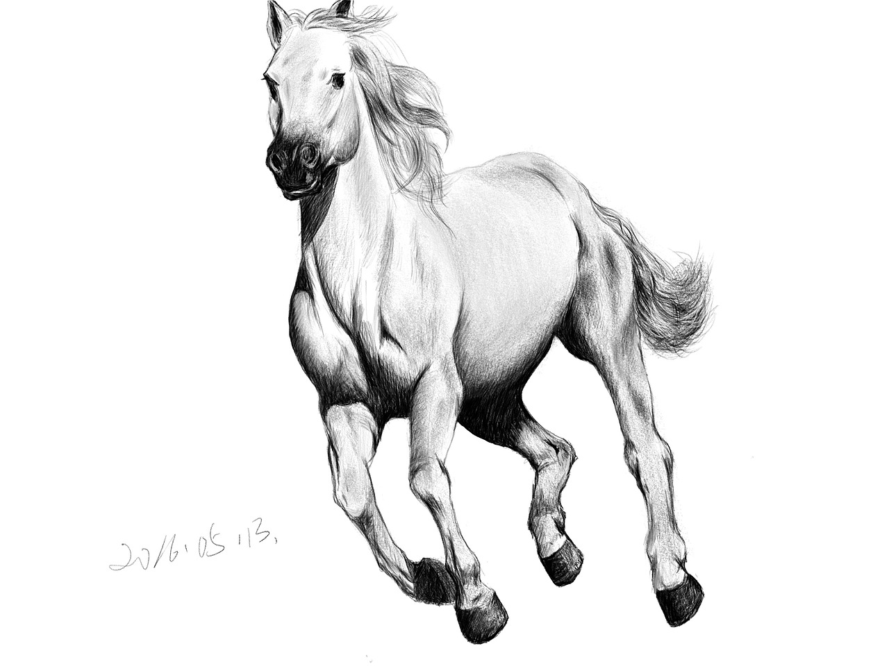 一匹马，一只小猫（图ZNTQ0NjE5MDg=） - 创作习作 - 站酷设计师泊熙凡原创素材 - 站酷ZCOOL