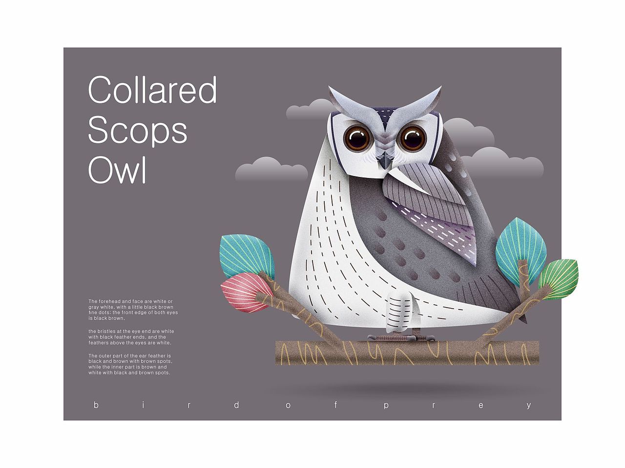 鸟儿（图ZMjEwNTYzNDM2） - 绘本 - 站酷设计师言身寸言身寸原创素材 - 站酷ZCOOL