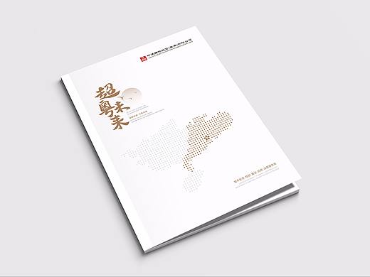 中建国际投资（广东）有限公司宣传册设计