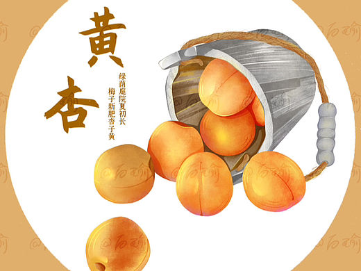 肌理风插画｜黄杏