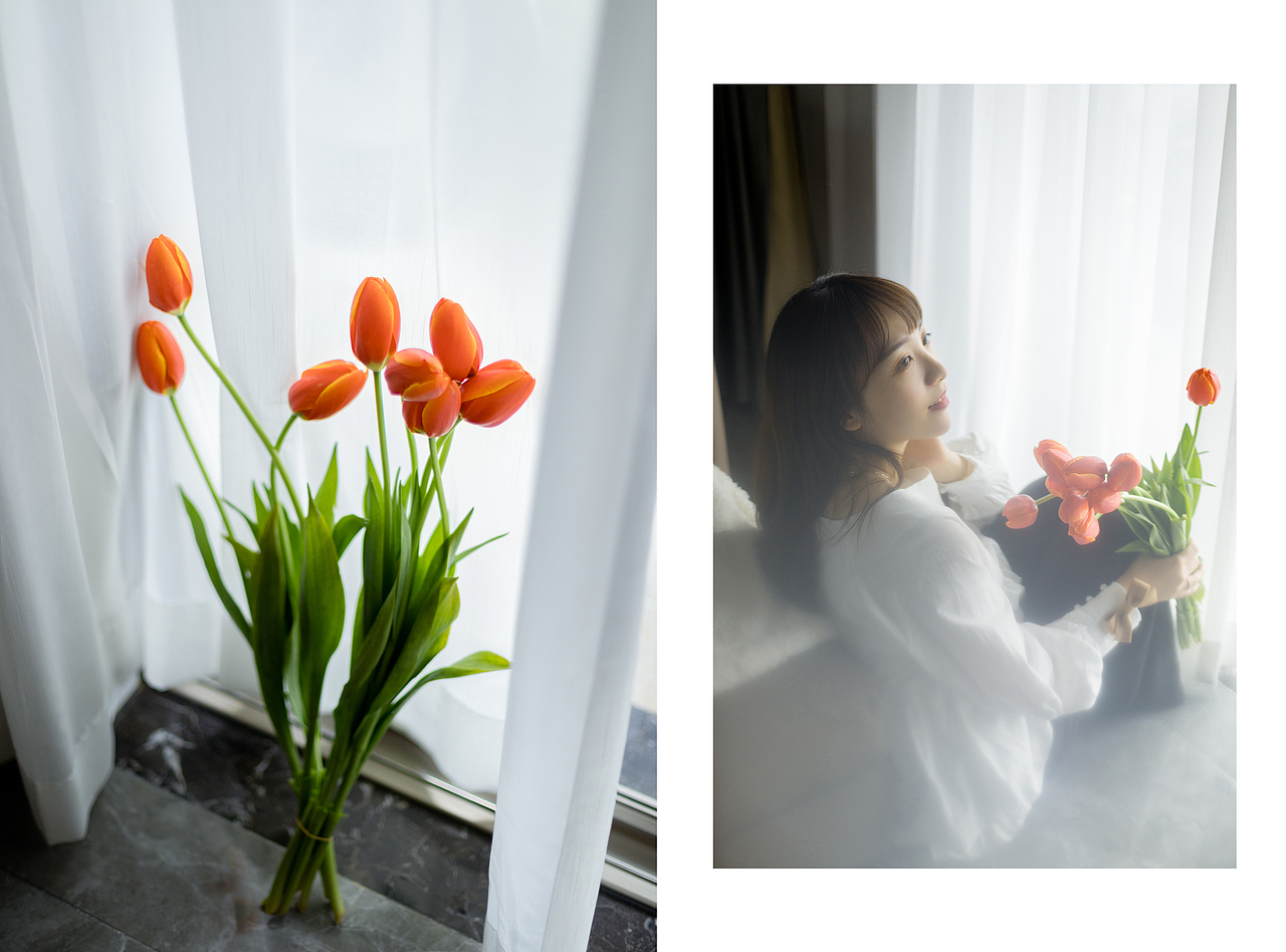 带了一束郁金香去看你