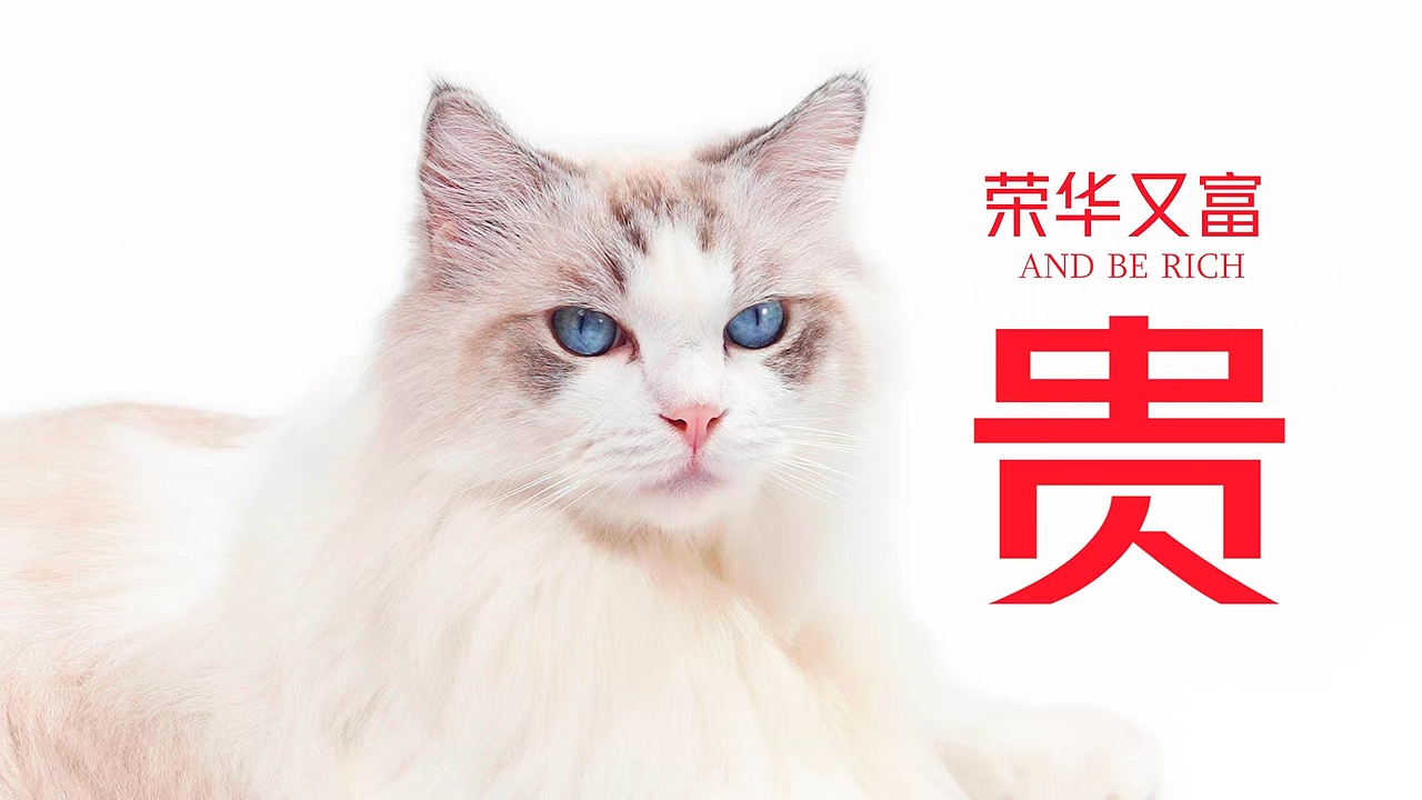 珀珀宠影x红魔游戏手机之过年贺岁小片