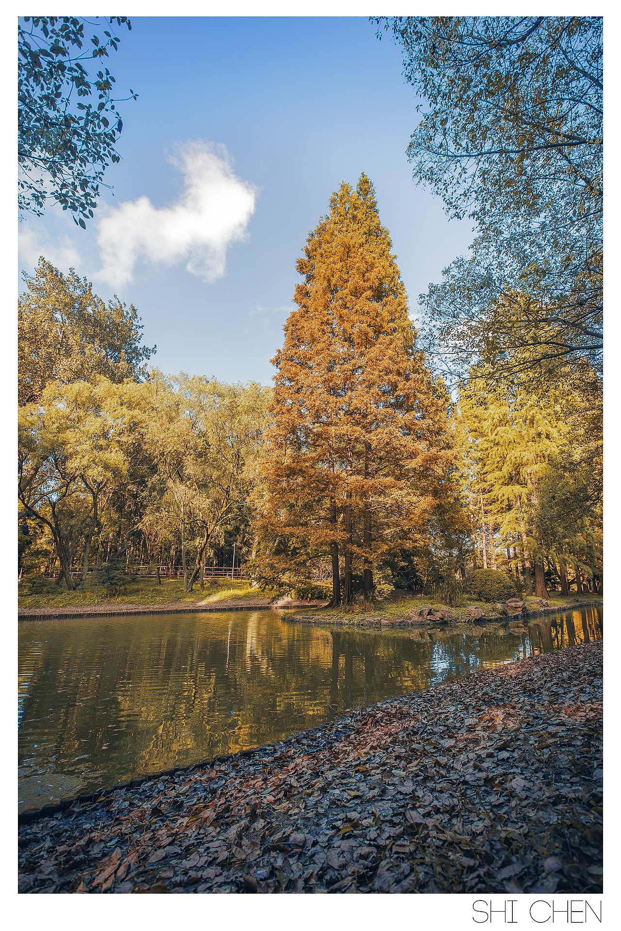 森林公园（图ZMTk4MzA2ODA=） - 风光摄影 - 站酷设计师zhzxsc原创素材 - 站酷ZCOOL