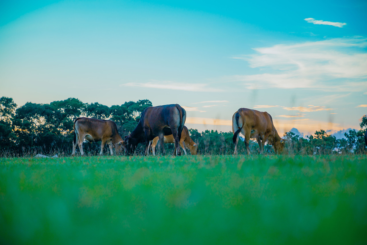 香港湾仔南营地及周边02