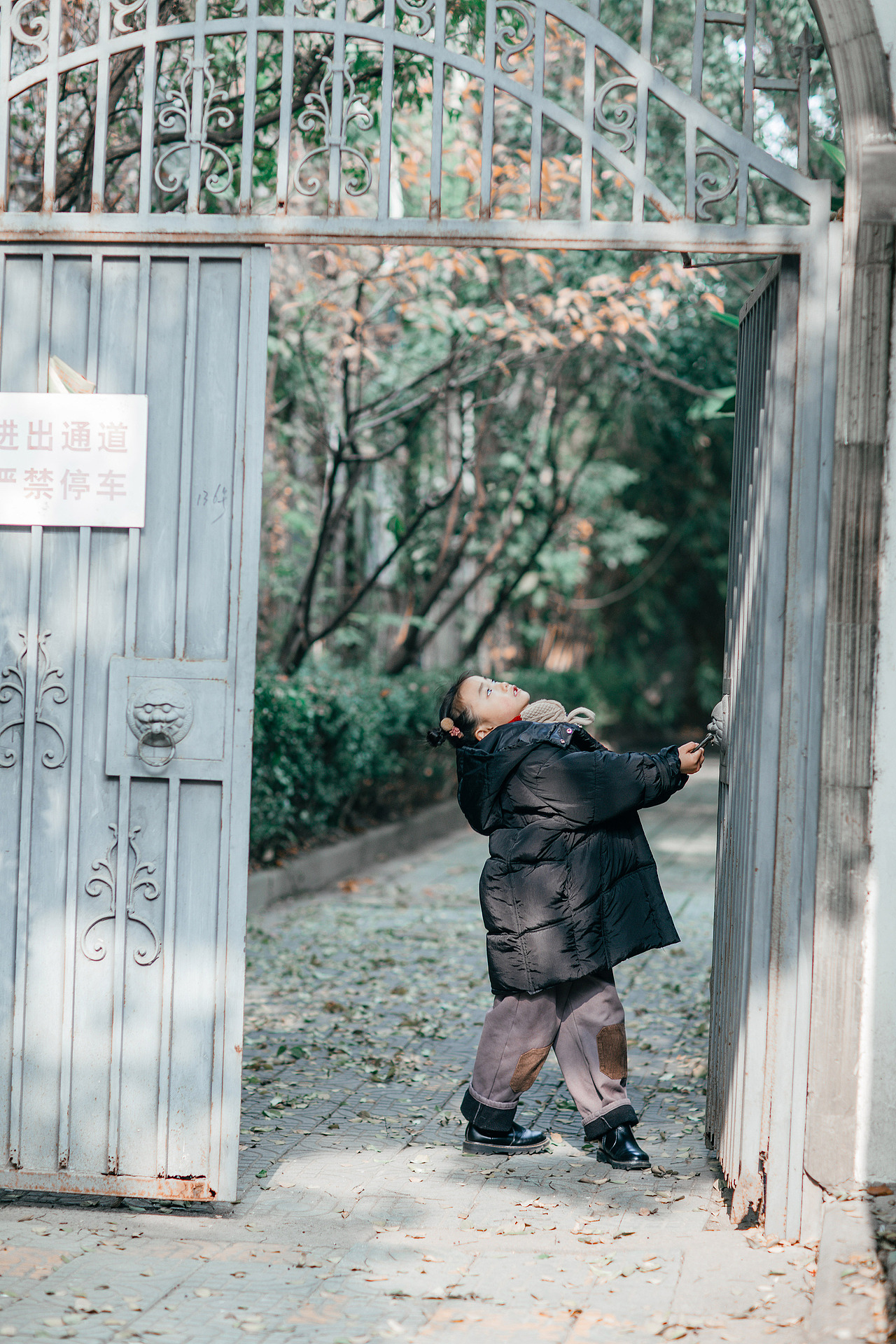 苏州银杏之美 · 定慧寺