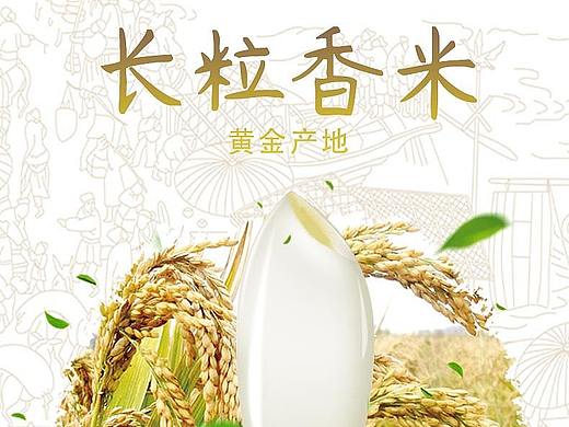 厂粒香米详情页