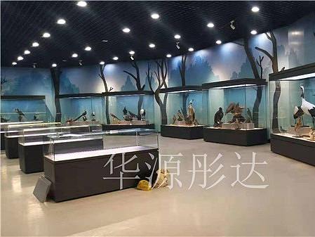 天津自然博物馆平柜-博物馆展柜设计制作-华源彤达