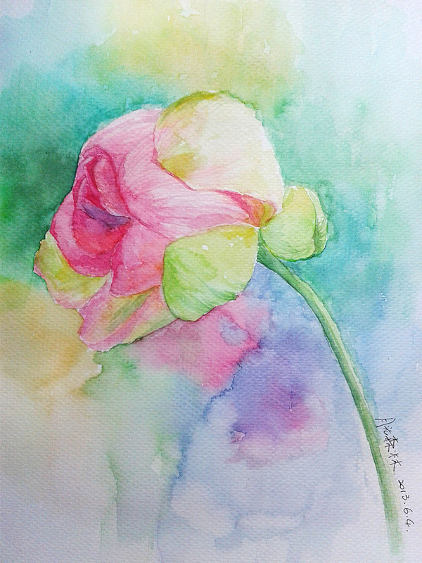 看到网上的关于荷花的照片,突然就想要画一张这样的画。