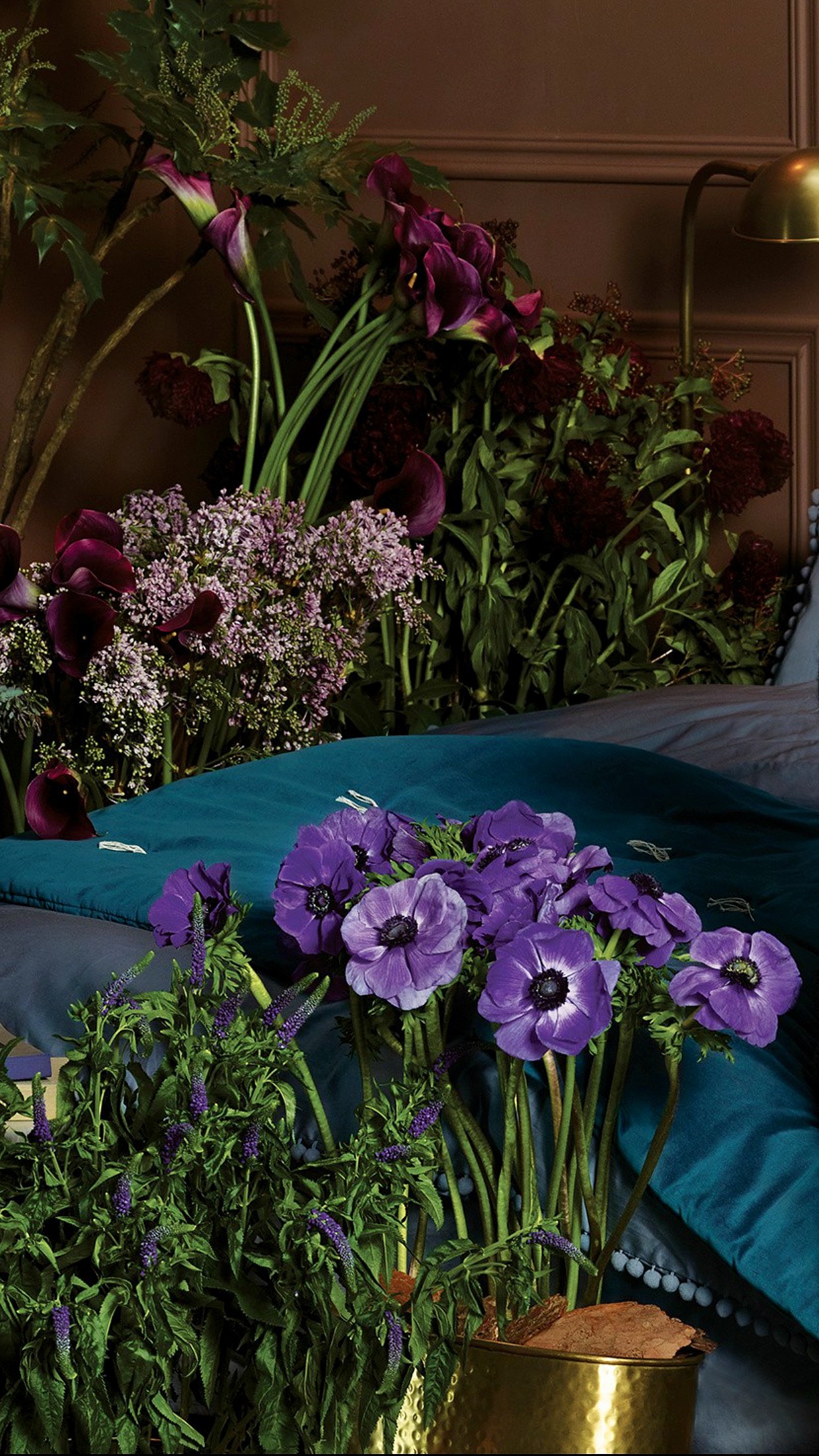 胡身边的花（图ZNzAwMTYwMTY=） - 创作习作 - 站酷设计师S索菲原创素材 - 站酷ZCOOL