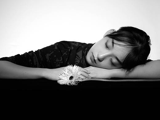 Gerbera jamesonii Bolus