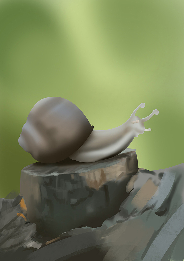 《snail》写实插图分享过程(图ZMTc4ODMzMTY=) - 商业插画 - 站酷设计师恶奔BEN原创素材 - 站酷ZCOOL