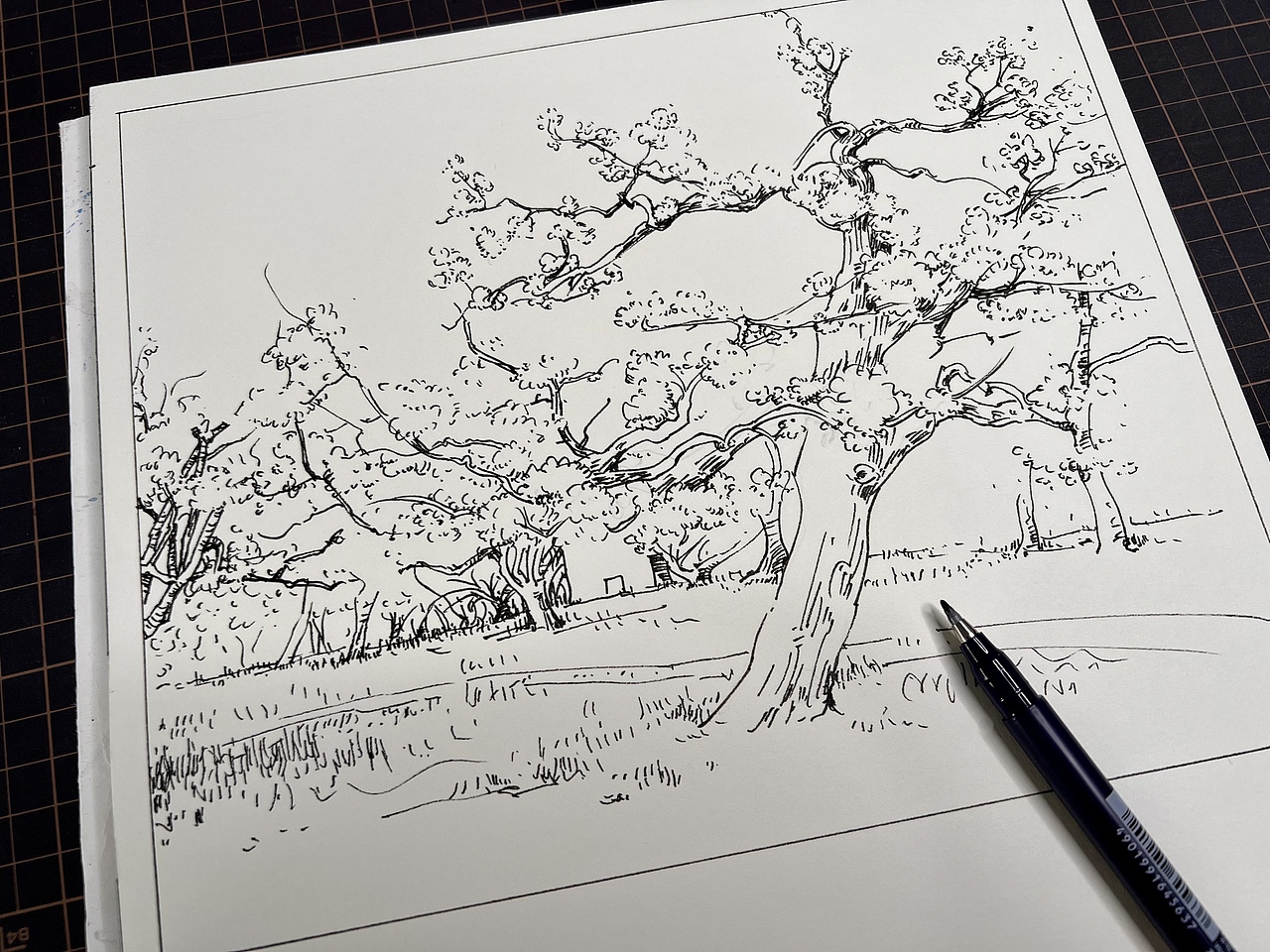 钢笔淡彩分镜,梨花农场,步骤图。