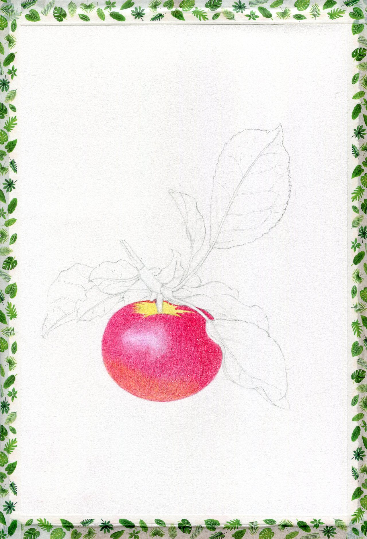 平安果，“苹”安顺遂（图ZMjQyMzM1NjEy） - 创作习作 - 站酷设计师画尽余生原创素材 - 站酷ZCOOL