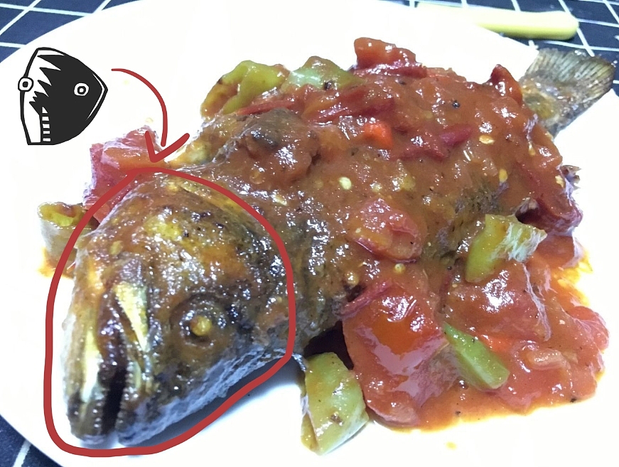 元素的灵感来源