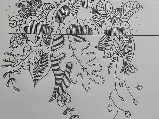 励志学会插画的第三天