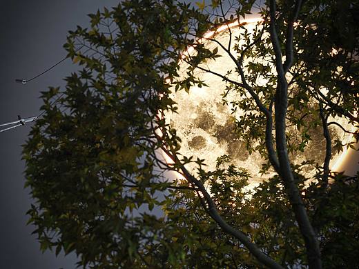 效果图|月色真美