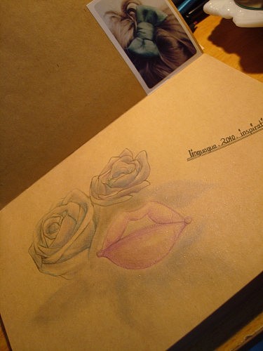 linguoguo 2010 ....（图ZMTU2NDE0MA==） - 概念设定 - 站酷设计师林果果原创素材 - 站酷ZCOOL