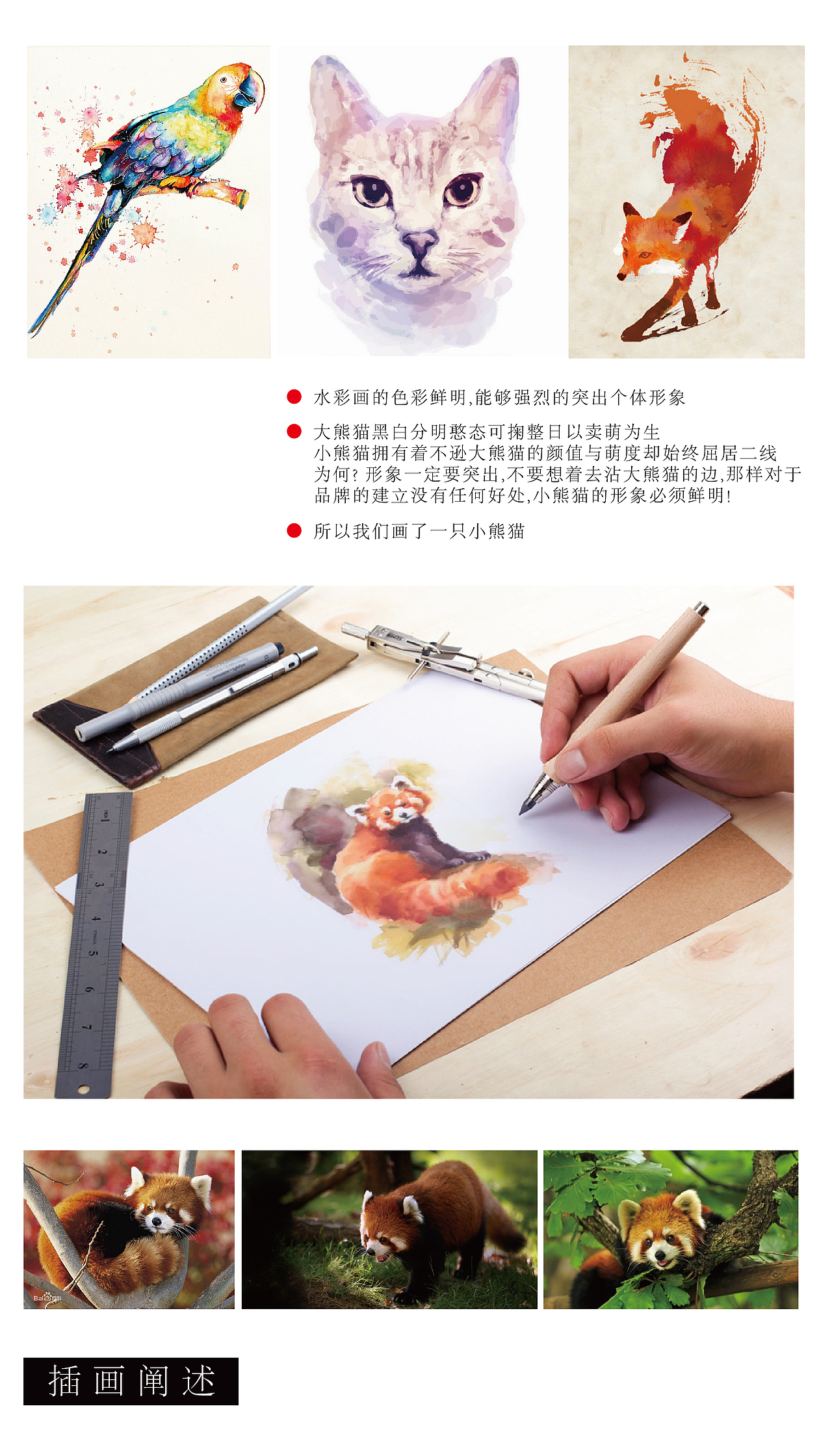 【日常】 云南红云红河烟厂  小熊猫