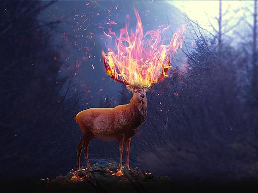 合成練習(xí)（個(gè)人主頁-ZMzAzOTQxNDA=） - 其他平面 - 站酷設(shè)計(jì)師耐性原創(chuàng)素材 - 站酷ZCOOL