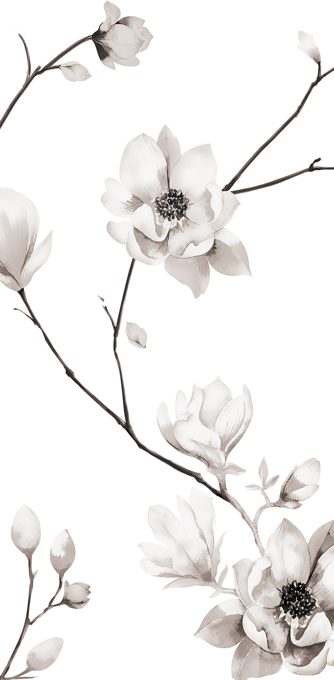 花纹系列（图ZODY4MTM0ODA=） - 商业插画 - 站酷设计师命运的交响曲原创素材 - 站酷ZCOOL