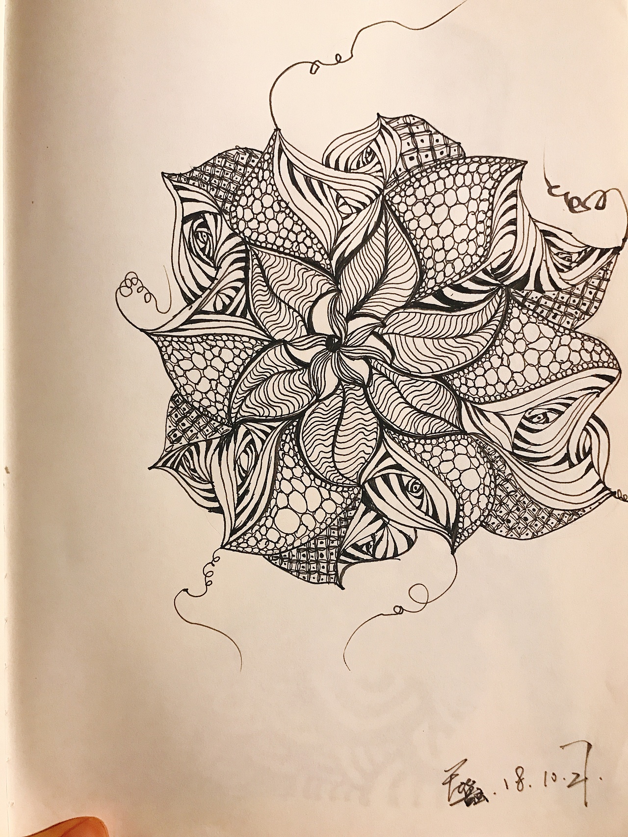 屁虫缠绕画的小练习