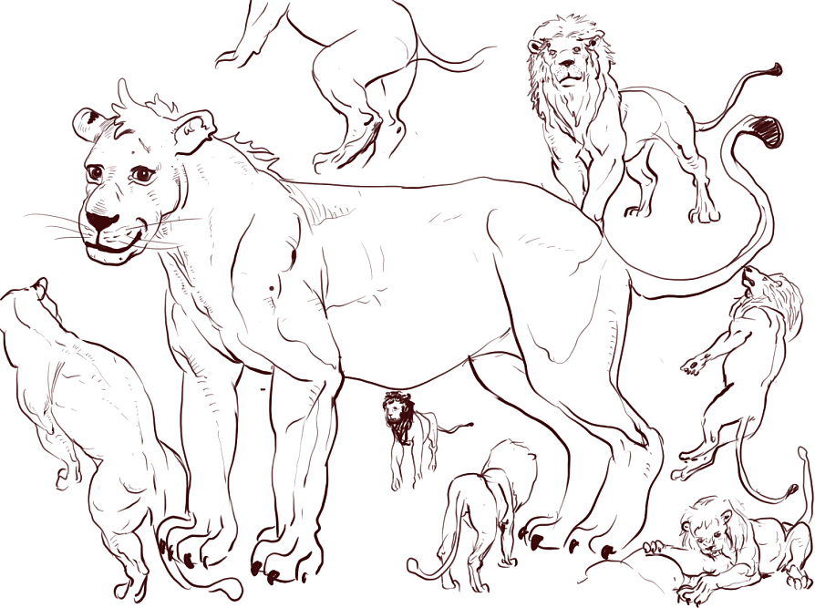 地铁上练习（动物篇）（图ZMTQ4MTk0Njg0） - 创作习作 - 站酷设计师S肚子爱画画D原创素材 - 站酷ZCOOL