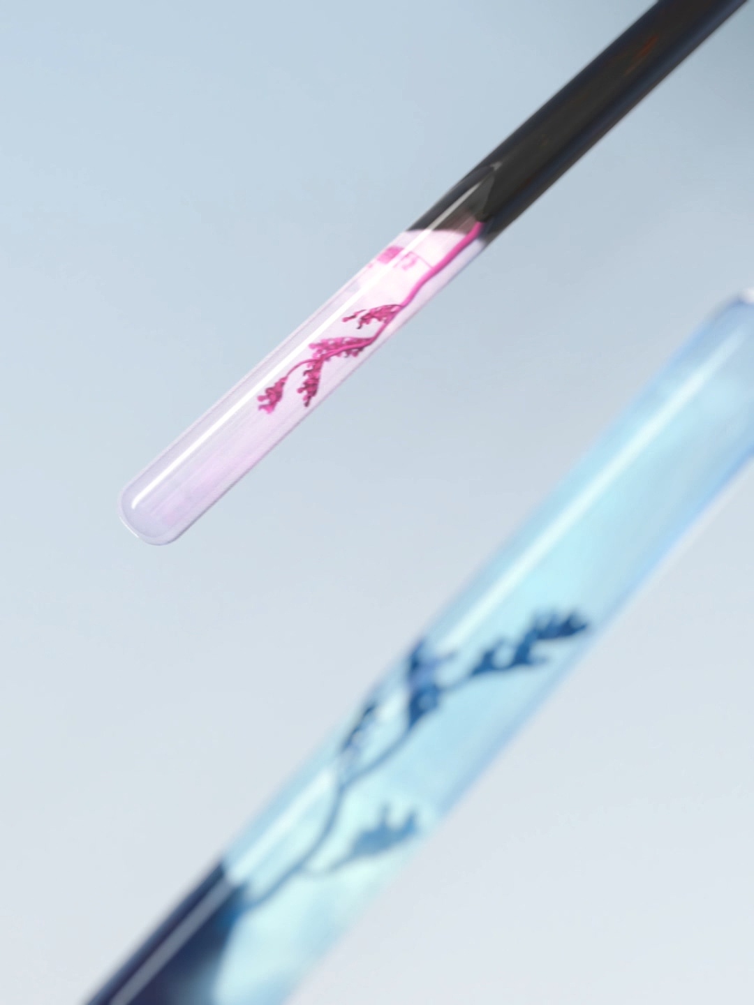 永生花新色相毛笔（图ZMjI5MDU3Njc2） - 产品 - 站酷设计师Qiampion原创素材 - 站酷ZCOOL