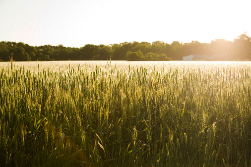 大学摄影随手拍拍（图ZMjUwOTI2NzI=） - 风光摄影 - 站酷设计师传媒摄影人原创素材 - 站酷ZCOOL