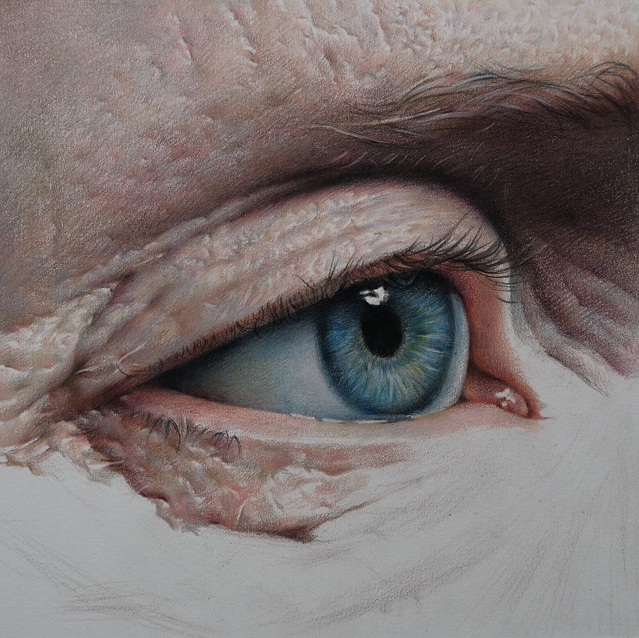 超写实彩铅眼睛
