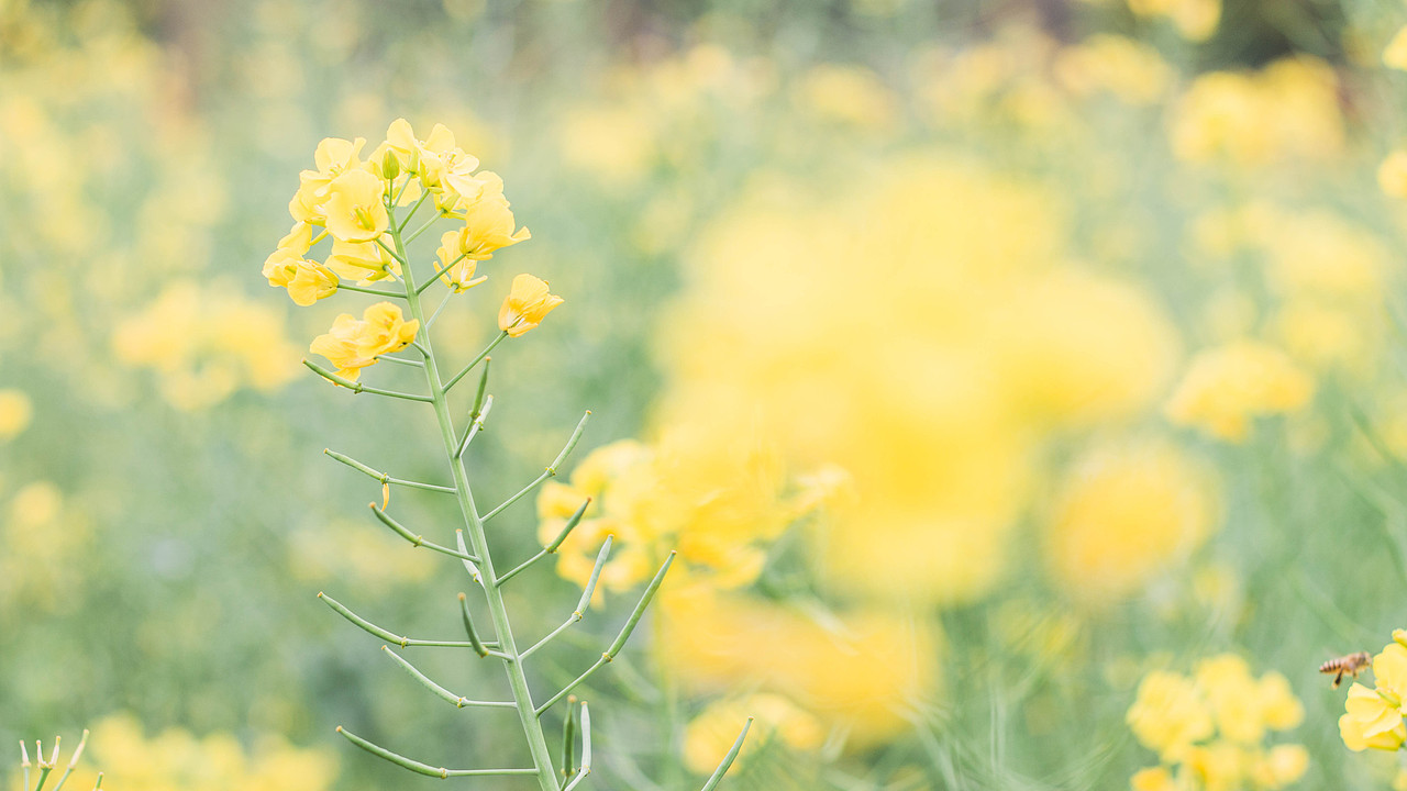 年年月月——2019