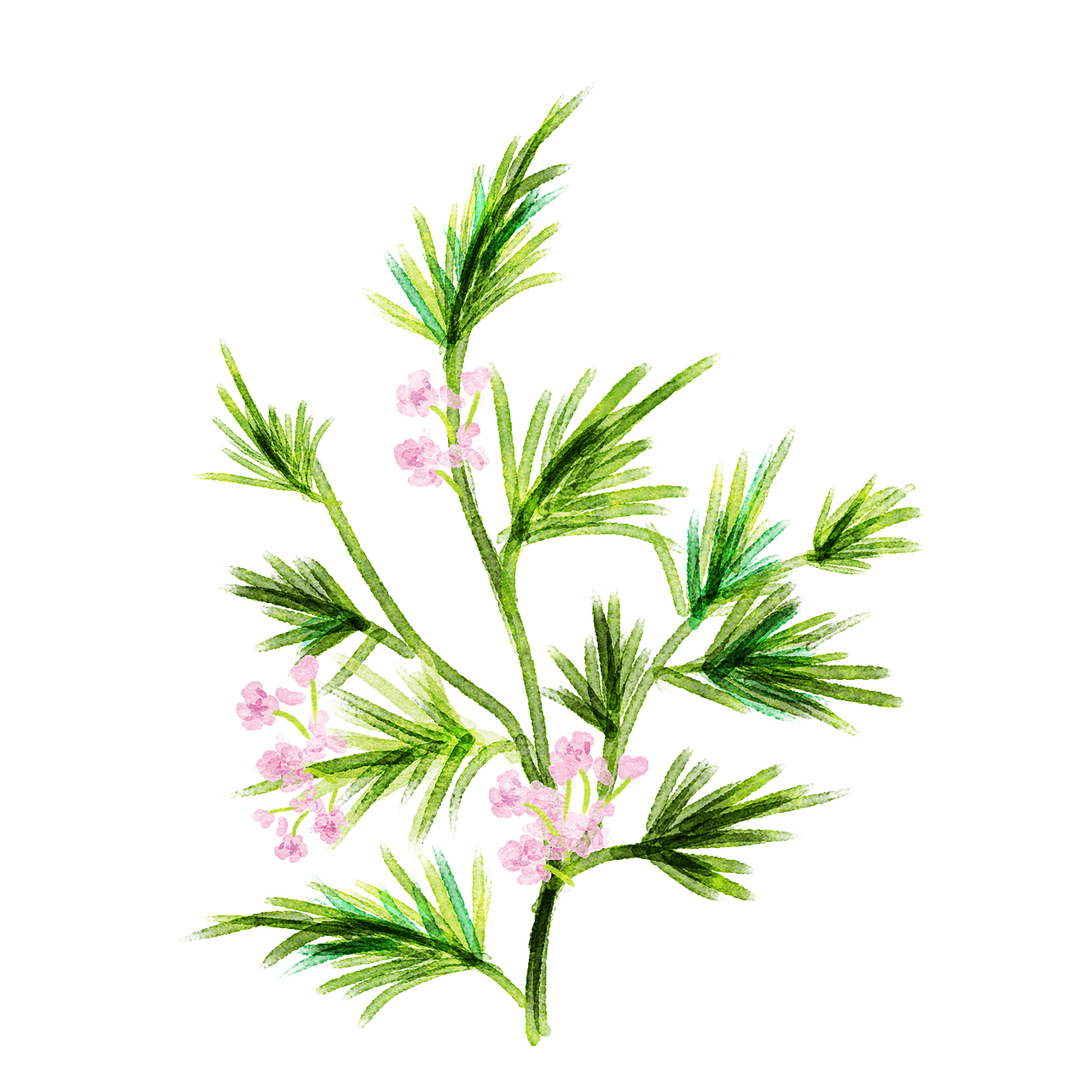 大雄策划原创《德民信》品牌手提礼盒平面设计作品（图ZMTczNTg4NDI4） - 包装 - 站酷设计师是阿柴呀原创素材 - 站酷ZCOOL