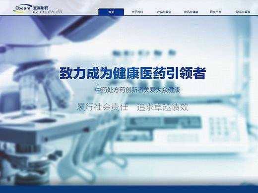 宜宾制药网站建设