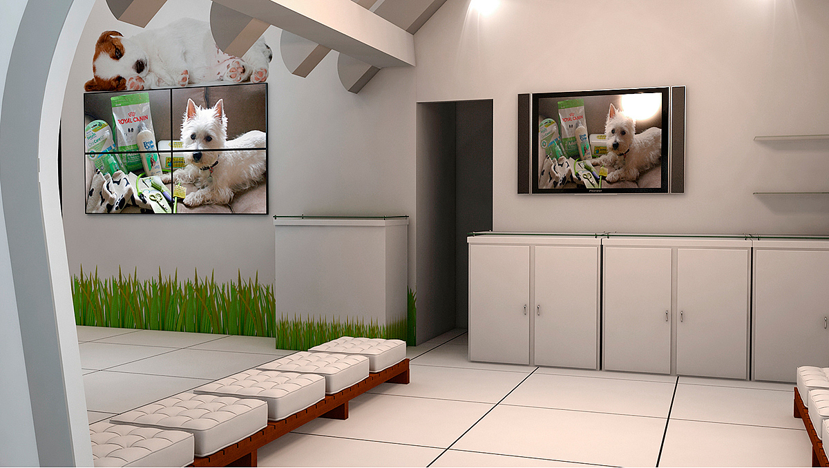 宠物展会设计效果图