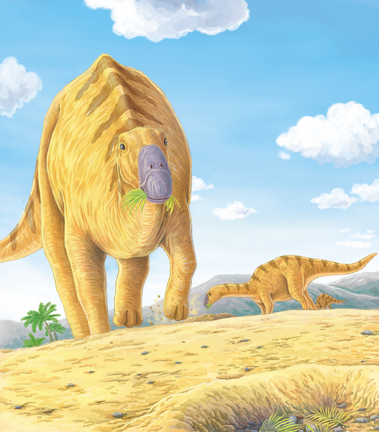 一本恐龙题材绘本插画！看官请留步！！（图ZMjMyMzc4NTUy） - 绘本 - 站酷设计师插画师海豹原创素材 - 站酷ZCOOL