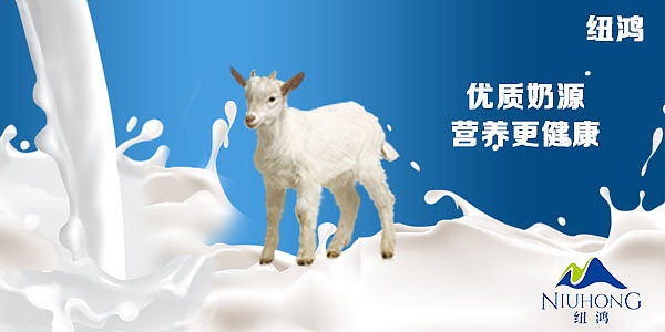 纽鸿羊奶（图ZODQwNjIxOTI=） - 宣传物料 - 站酷设计师小天使1号原创素材 - 站酷ZCOOL